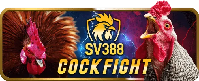 Giao diện thân thiện của ứng dụng K8BET